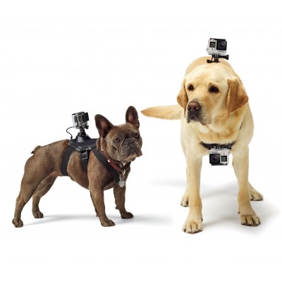 Кріплення для собаки GoPro Fetch Dog Harness (ADOGM-001)