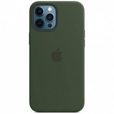 Накладка  iPhone 12 Pro Max Leather Case (HC) Green