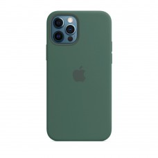 Накладка Apple iPhone 12 Silicone Case Pine Green (Middle)
